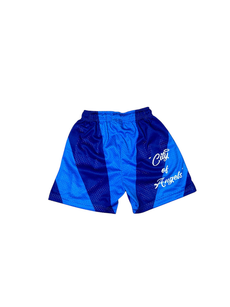 LA “Skyline” Mesh Shorts