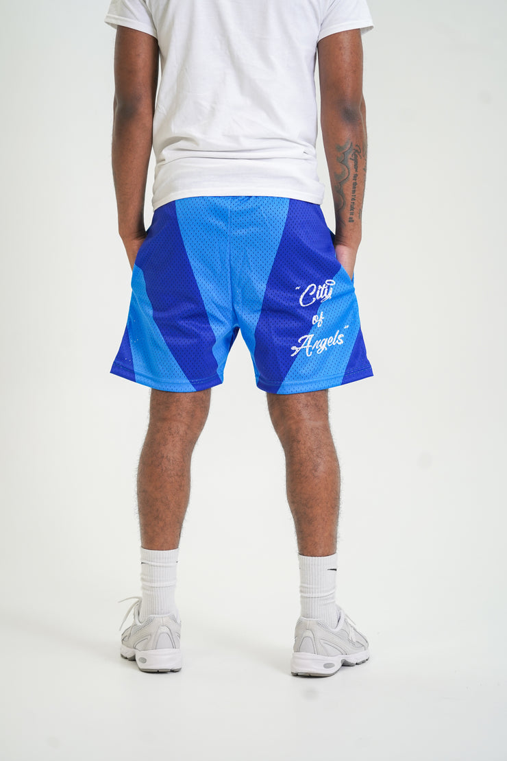 LA “Skyline” Mesh Shorts