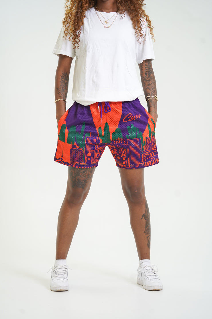 Phoenix “Skyline” Mesh Shorts