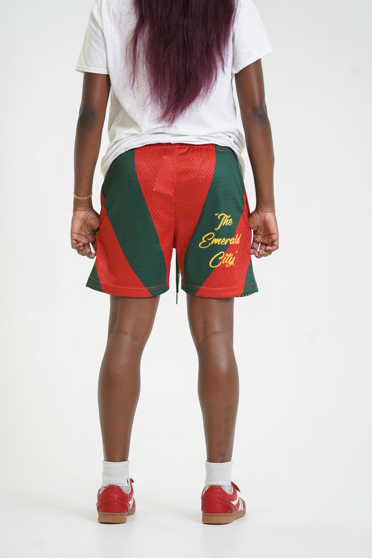 Seattle “Skyline” Mesh Shorts