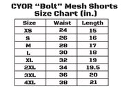South Beach "Bolt" Paisley Mesh Shorts